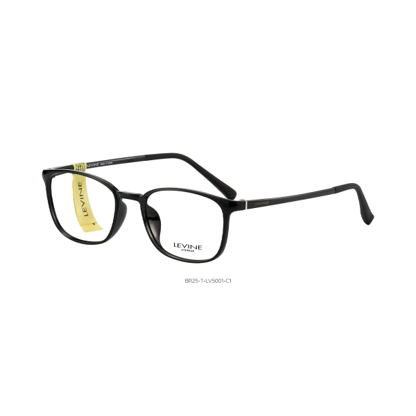 BR25-T-LV5001 C1