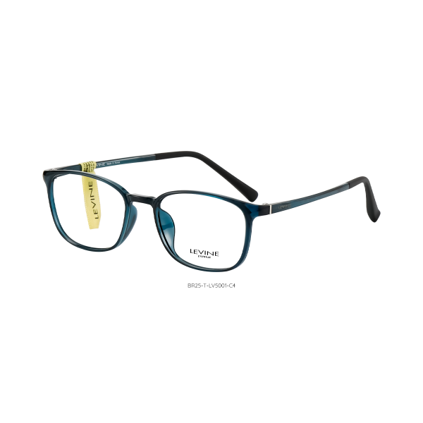 BR25-T-LV5001 C4