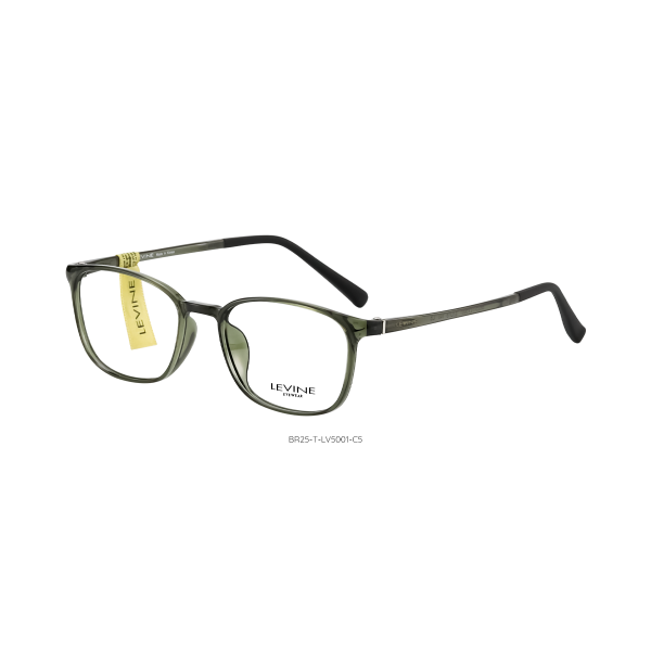 BR25-T-LV5001 C5