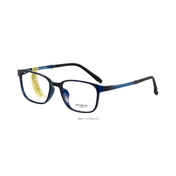 BR25-T-LV5002 C4