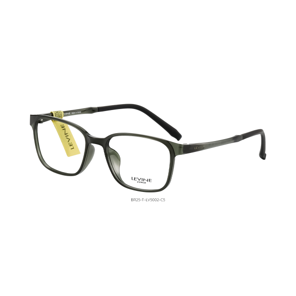 BR25-T-LV5002 C5