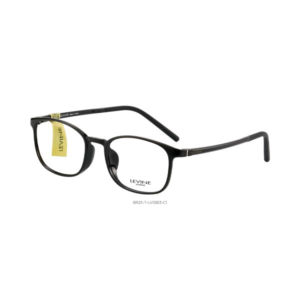 BR25-T-LV5003 C1