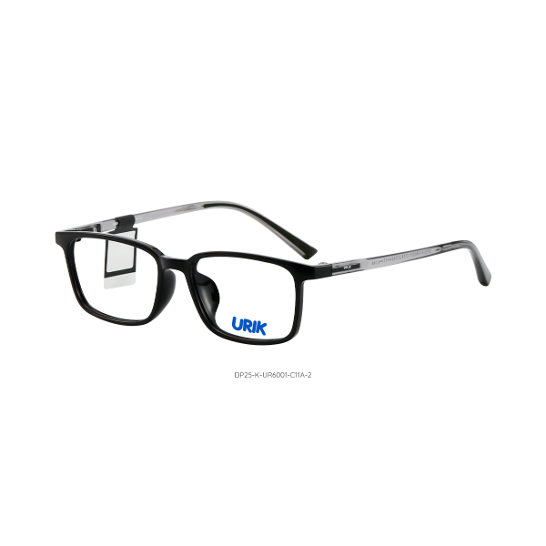 DP25-K-UR6001 C11A-2