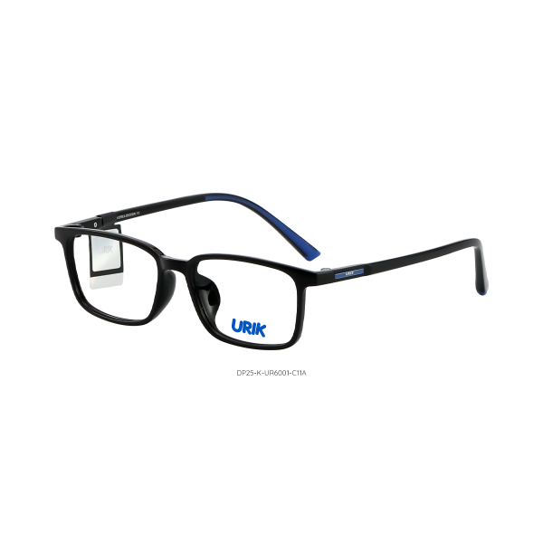 DP25-K-UR6001 C11A